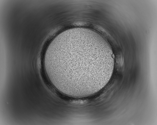 X0000094230734200711091313