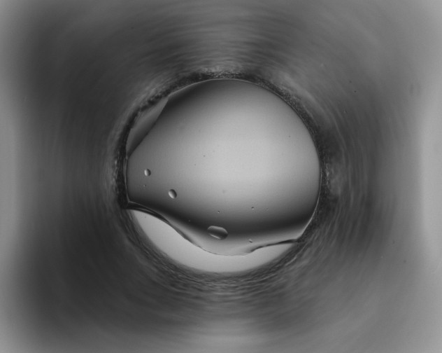 X0000094230735200711091313