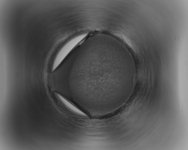 X0000094230736200711091313