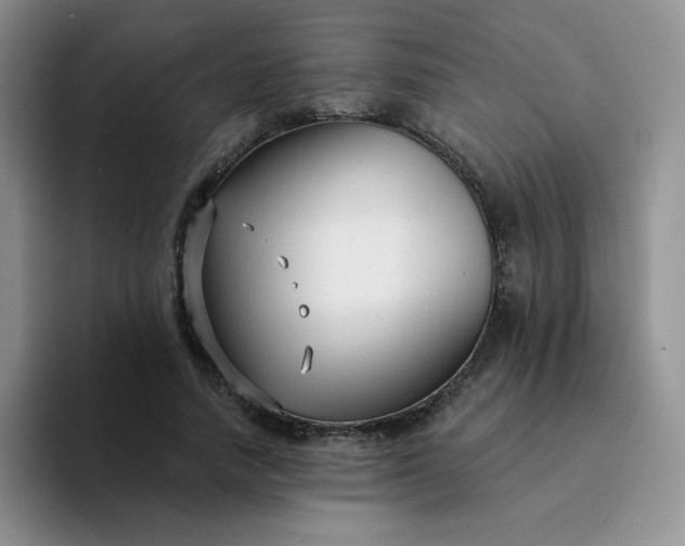 X0000094230738200711091313