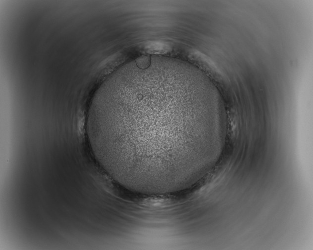 X0000094230745200711091314