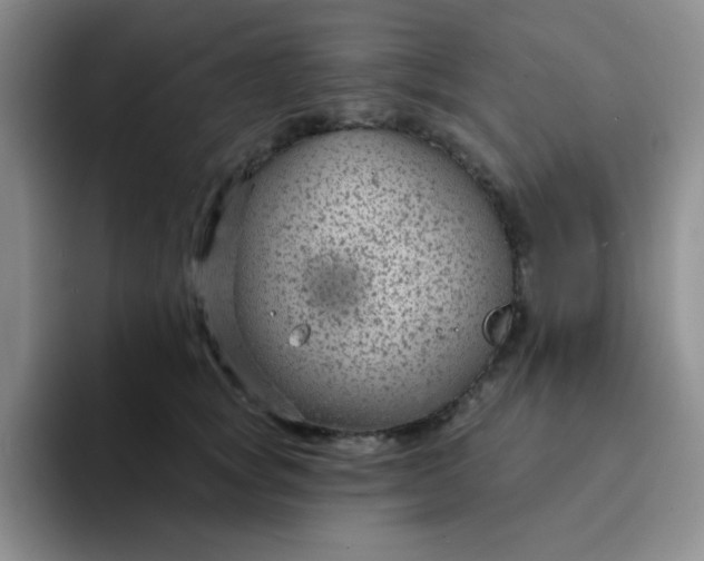 X0000094230757200711091314