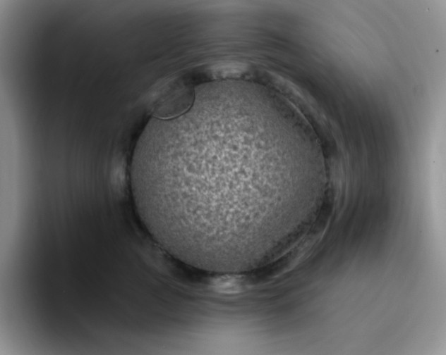 X0000094230761200711091314