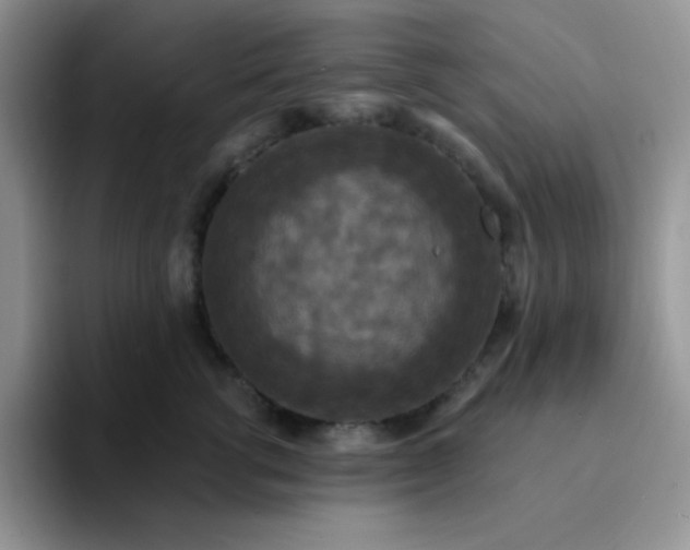 X0000094230762200711091314