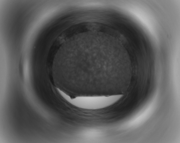 X0000094230765200711091314