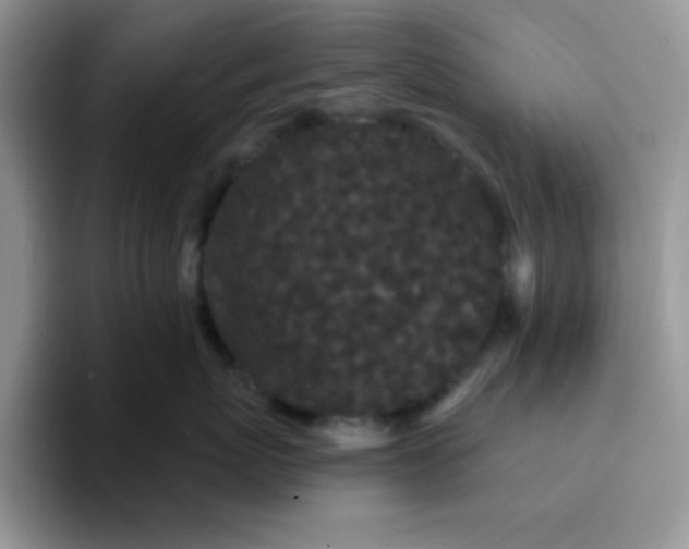 X0000094230767200711091314