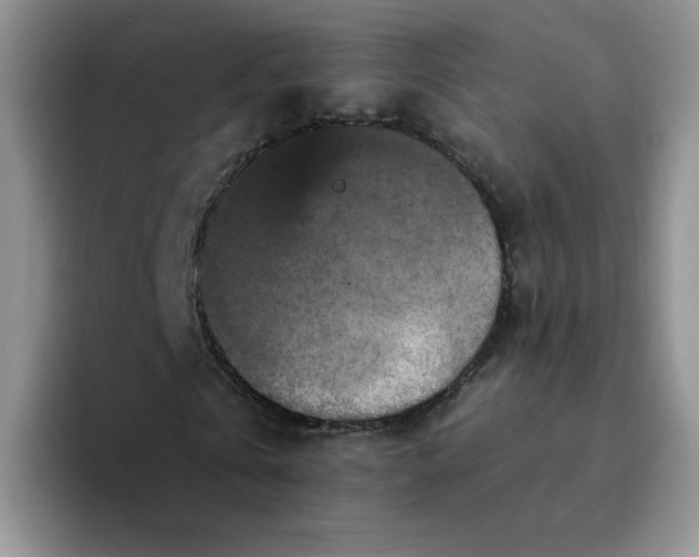 X0000094230769200711091313