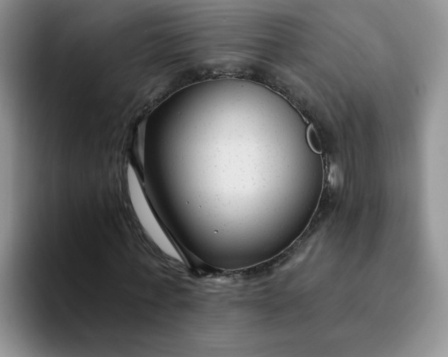 X0000094230771200711091313