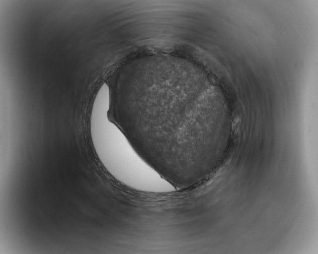 X0000094230772200711091313