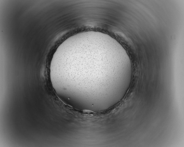 X0000094230776200711091313