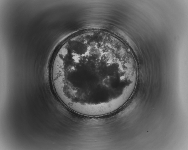 X0000094230779200711091313