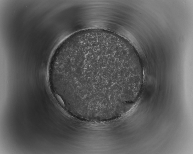 X0000094230780200711091313