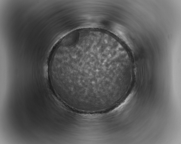 X0000094230781200711091313