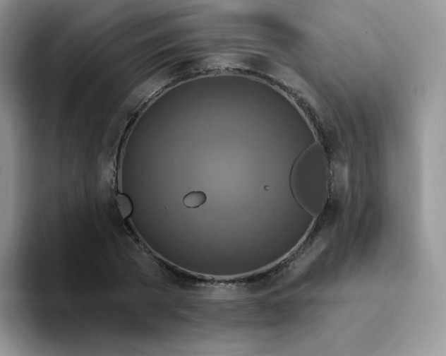 X0000094230785200711091313