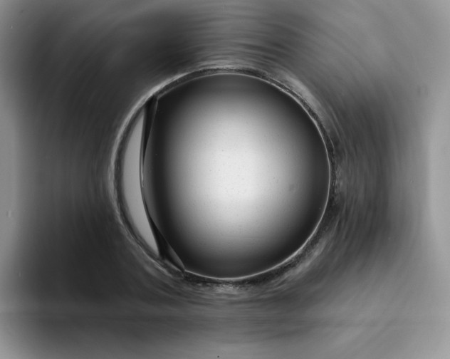 X0000094230787200711091313