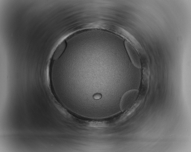 X0000094230788200711091313