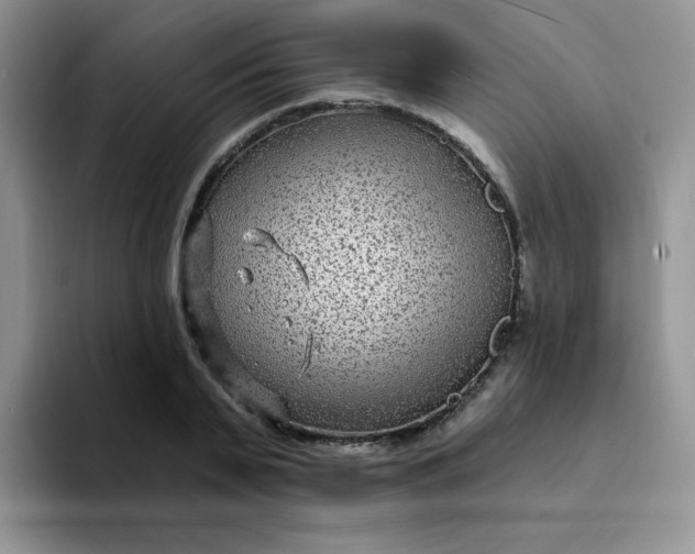 X0000094230791200711091313