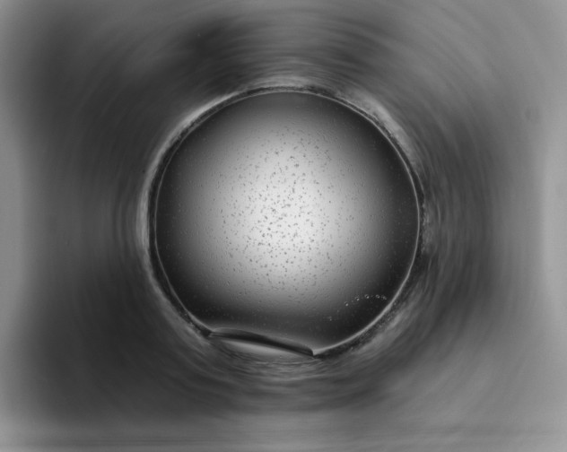 X0000094230795200711091313