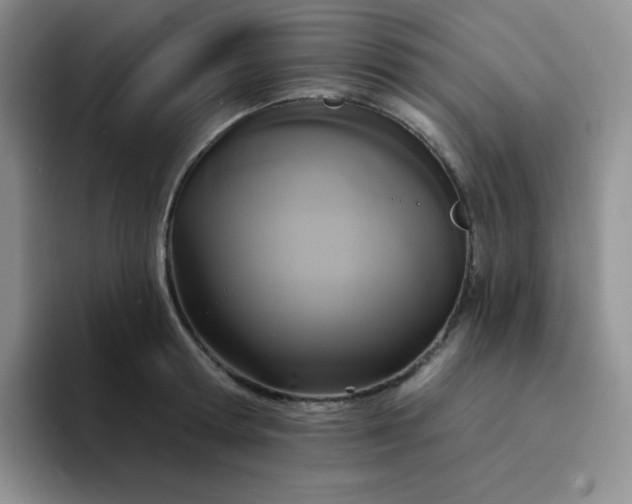 X0000094230802200711091313