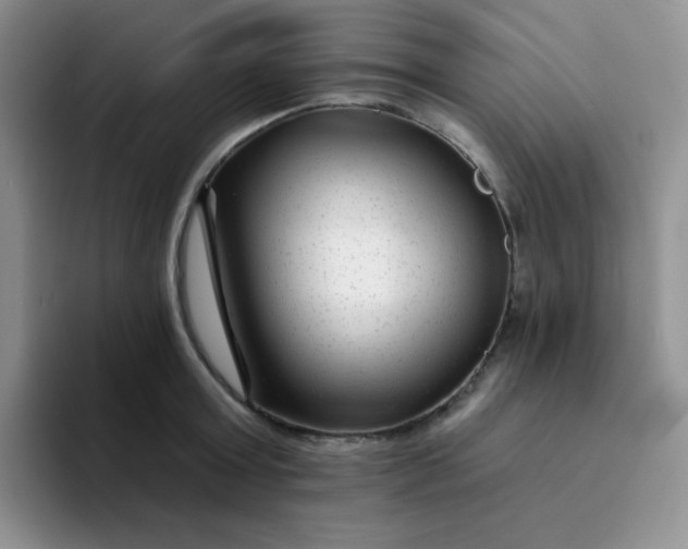 X0000094230803200711091313