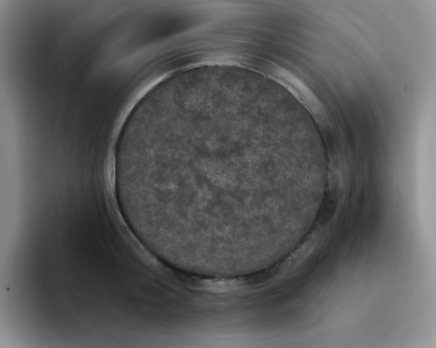 X0000094230804200711091313