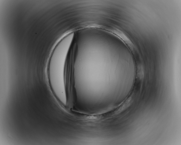 X0000094230806200711091313