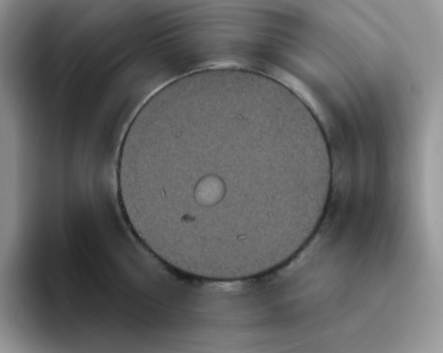 X0000094230810200711091313