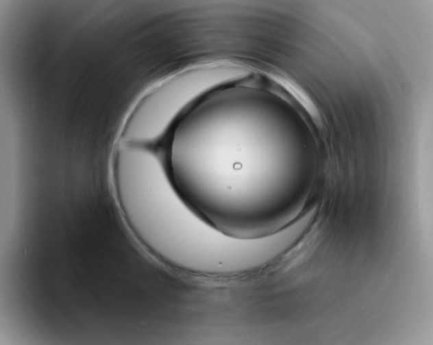 X0000094230813200711091313