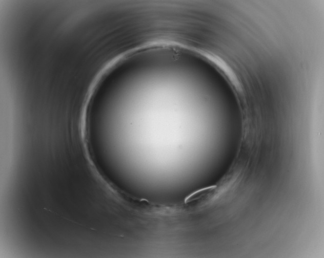 X0000094230815200711091313