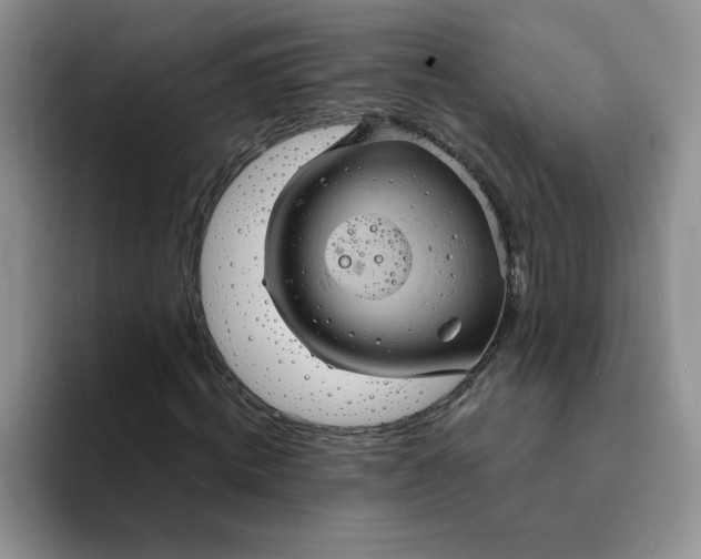 X0000094230820200711091312