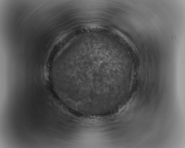 X0000094230823200711091312