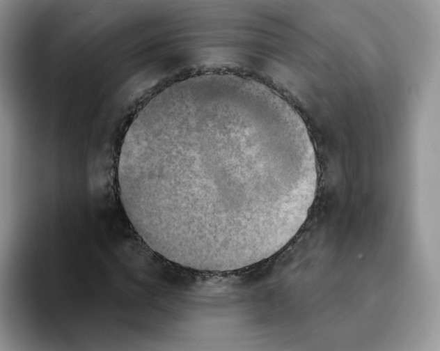 X0000094230824200711091312