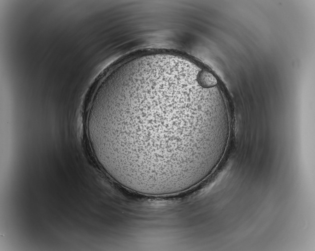 X0000094230829200711091312