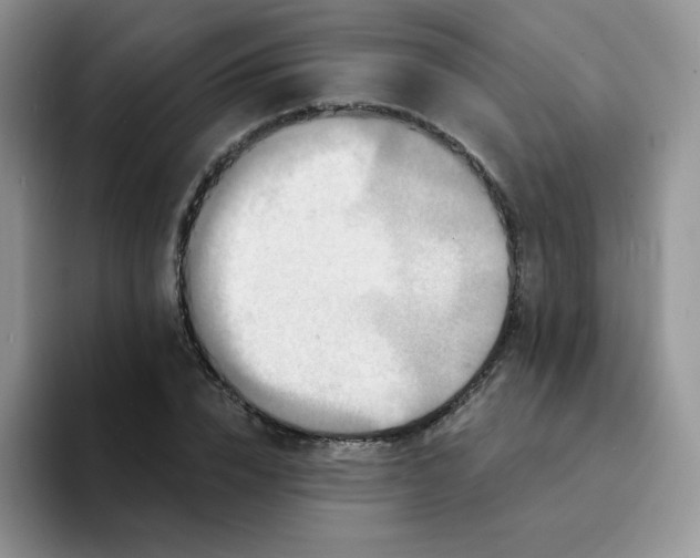 X0000094230832200711091312