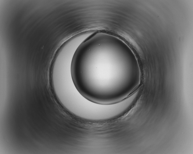 X0000094230834200711091312