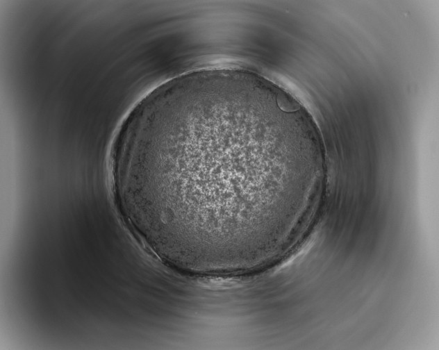 X0000094230835200711091312