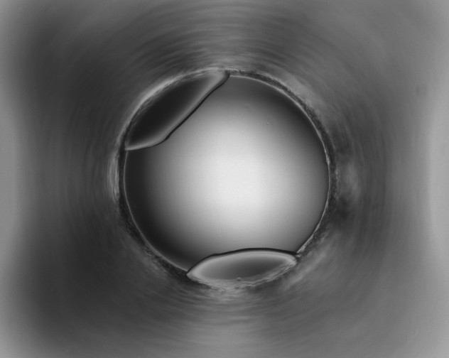 X0000094230838200711091312