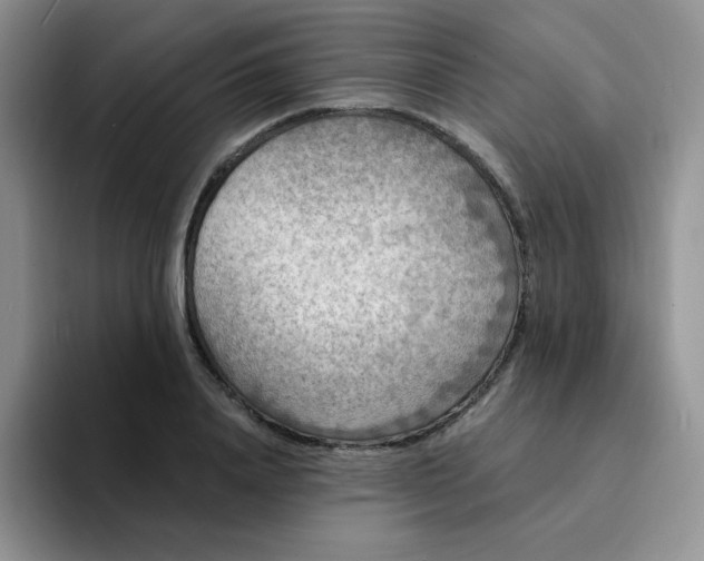 X0000094230840200711091312