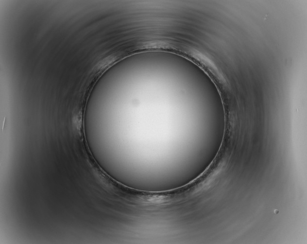 X0000094230841200711091312