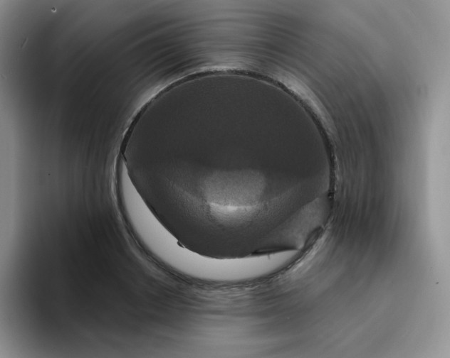 X0000094230842200711091312