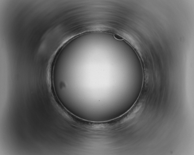 X0000094230843200711091312