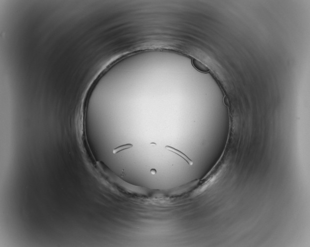 X0000094230844200711091312