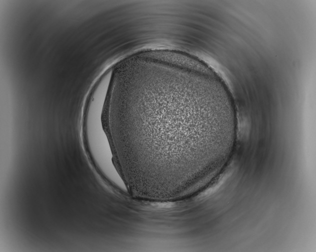 X0000094230845200711091313