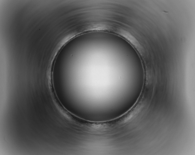 X0000094230850200711091313