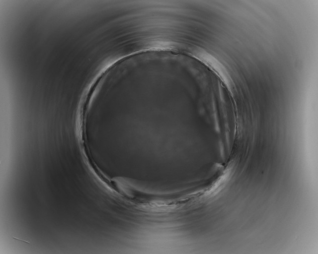 X0000094230851200711091313