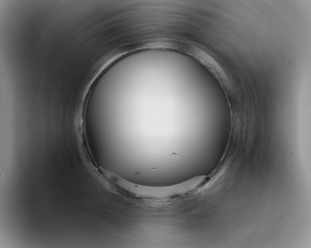 X0000094230852200711091313