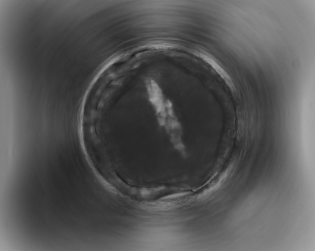 X0000094230853200711091313