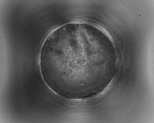 X0000094230855200711091313