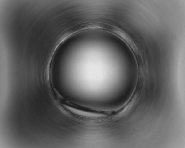 X0000094230858200711091313