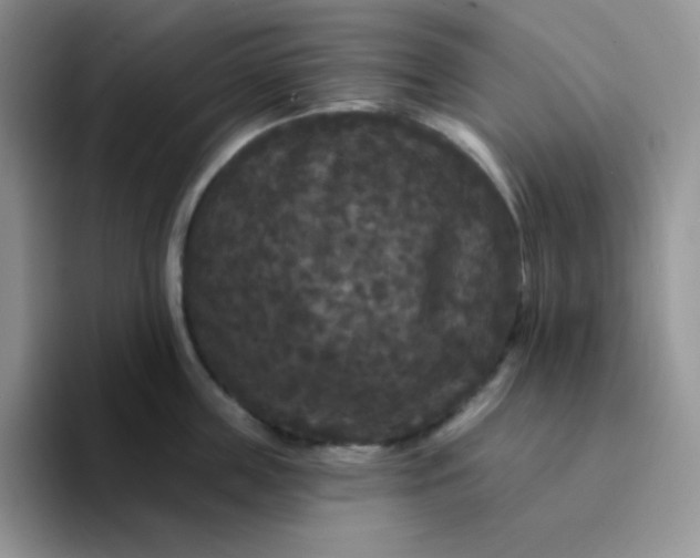 X0000094230859200711091313